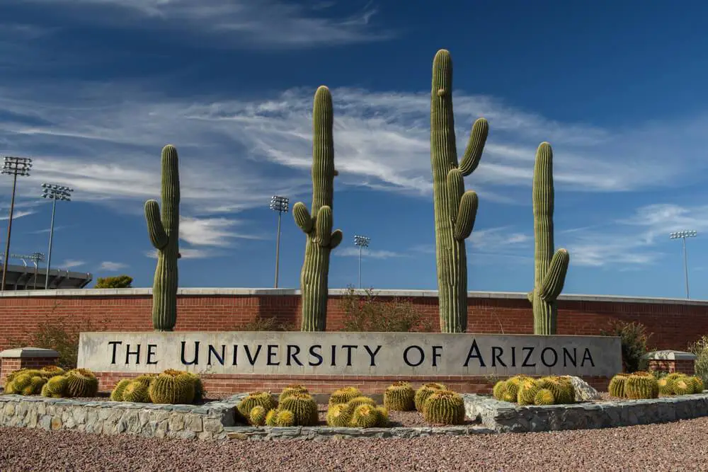 10 of the Easiest Classes at University of Arizona